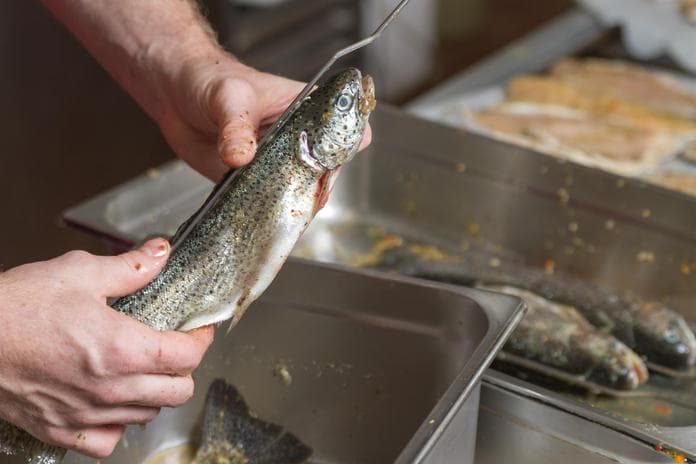 Almenlandfisch- und Hirschtage beim GH Karl-Wirt