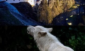 Herbersteiner Vollmondfest