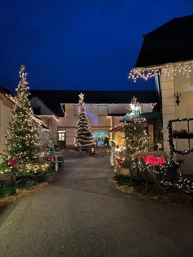 Adventmarkt "Weihnachtsdorf am Maluhof"