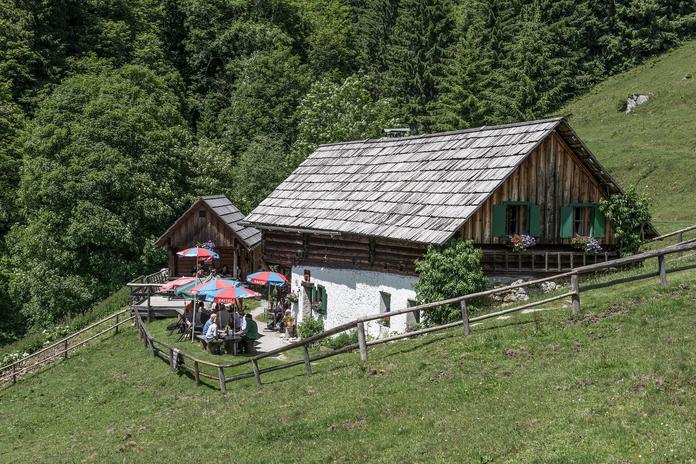 Weisenblasen auf der Kölblalm