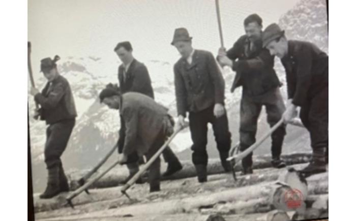 Die Wälder im Steirischen Salzkammergut - ihre Nutzung einst und jetzt