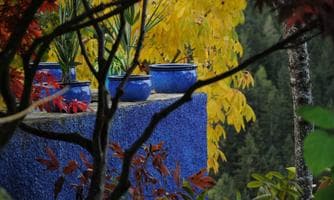 Farbenspiel des Herbstes beim Sulamith Garten