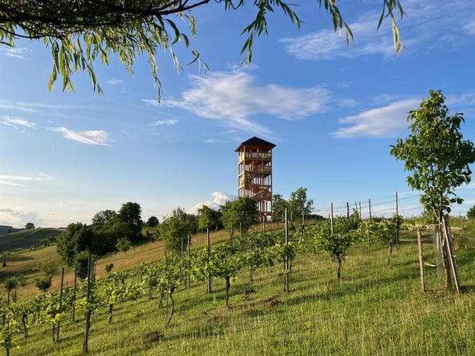 Geführte Wanderungen im Naturerlebnistal Unterlamm