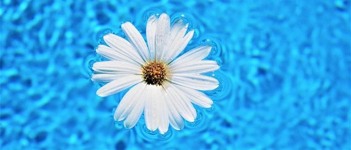 Ferienprogramm - Auf Entdeckungstour im Wasserwerk