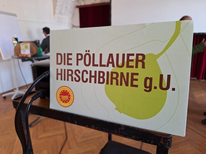 Hirschbirn´ Netzwerk