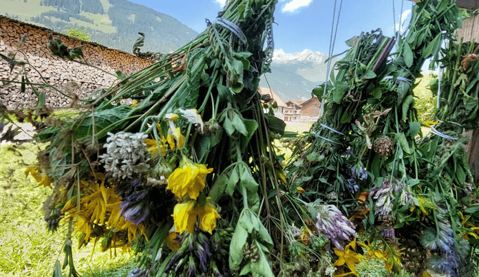 Workshop Kräuterbuschenbinden zu Maria Himmelfahrt