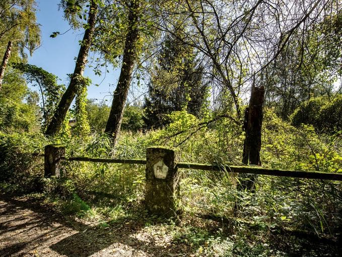 Sinnesreise durch Wald, Wiese und Moor - NATURSCHAUSPIEL
