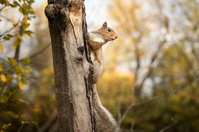 Forschertag im Naturparkhaus