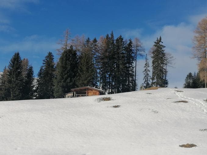 Forschertag Naturparkhaus Kaunergrat