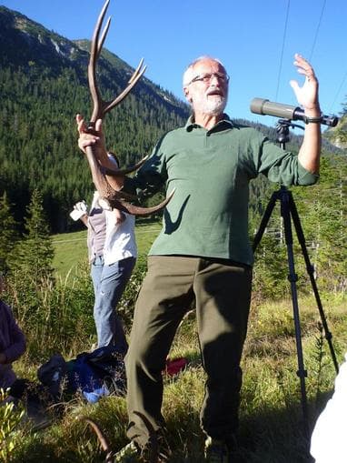 Exkursion zur Hirschbrunft: Wie die Hirsche röhren