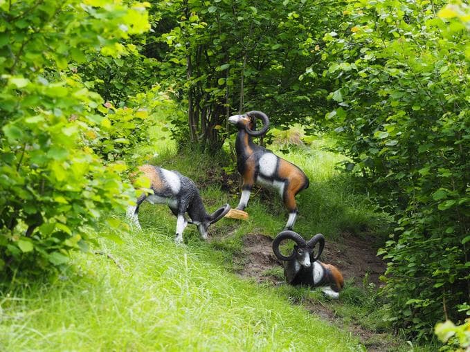 Bogenschießen im 3-D Parcours