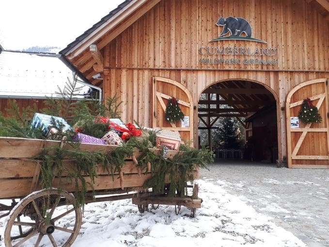 Advent at the Wildpark