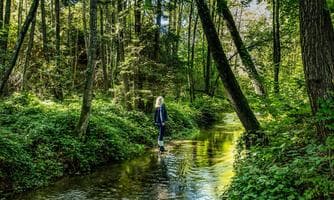 Sinnesreise durch Wald, Wiese und Moor - NATURSCHAUSPIEL