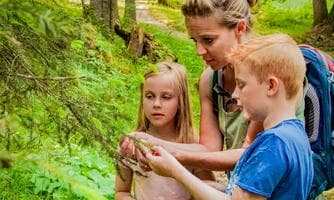 Lechtaler Wildkräuterwanderung