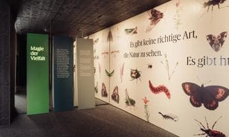 Naturparkhaus Ausstellung: Magie der Vielfalt