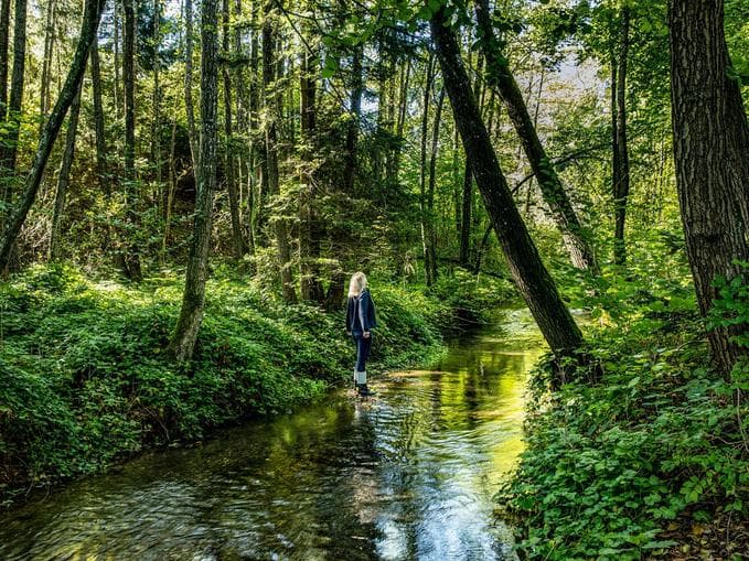 Sinnesreise durch Wald, Wiese und Moor - NATURSCHAUSPIEL