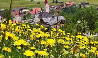 Kräuterwanderung Holzgau