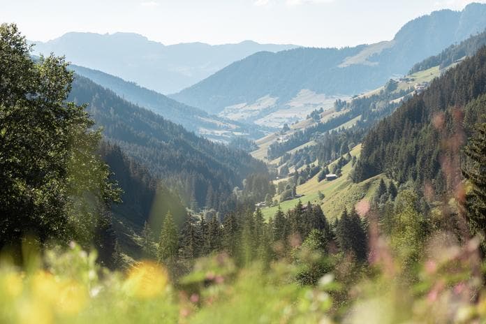 Summer Evening on the Mountain
