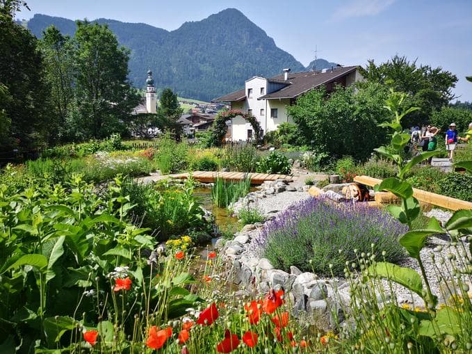 Führung im Hildegard von Bingen Garten
