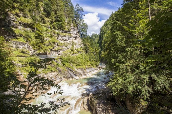 Erlebniswanderung Tiefenbachklamm