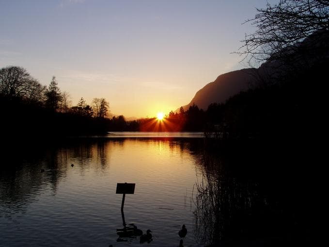 WIR Alpbachtal Sommernachts Kino