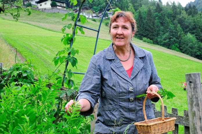 Von Kraut zu Kraut