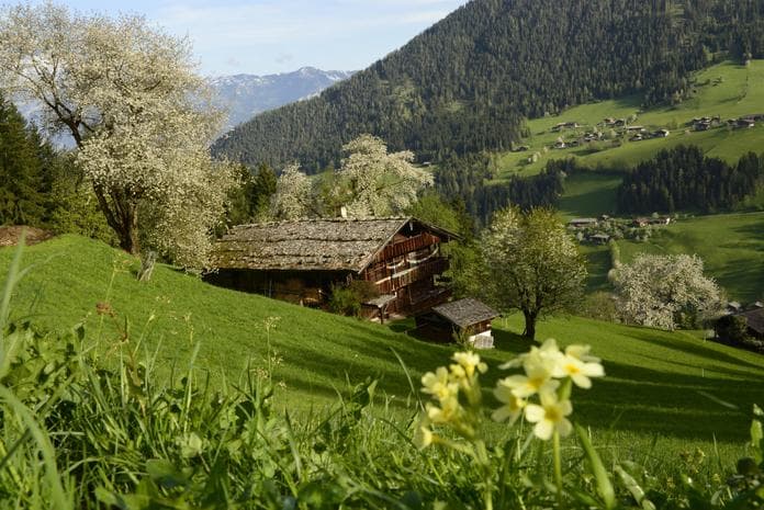 KulTour - Altes Handwerk in Alpbach