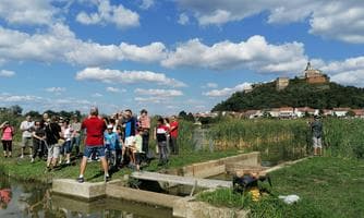Birdwatching-Tour in Güssing