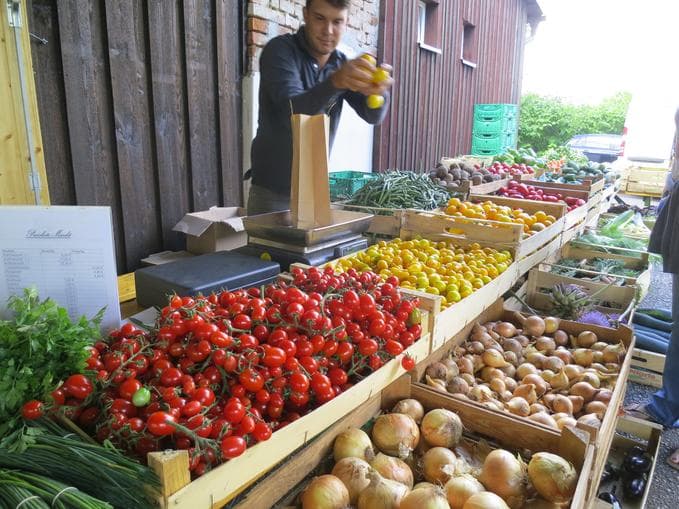 Markt der ERDE | SOMMER am Tisch