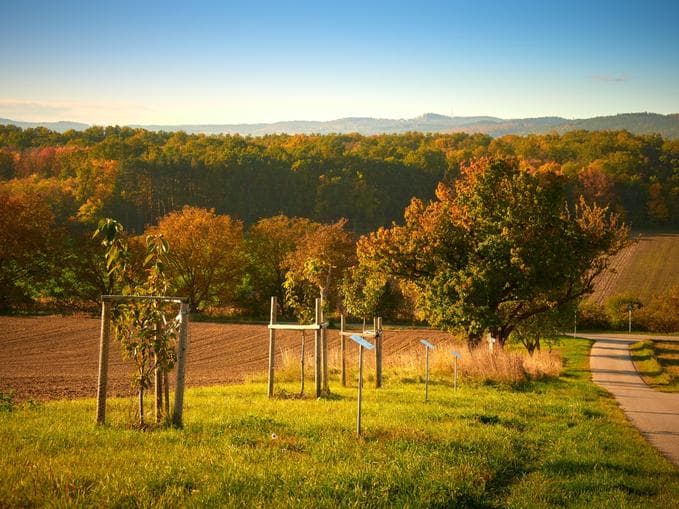 Herbst im Revier - Natur & Jagd erleben - Naturerlebnistage