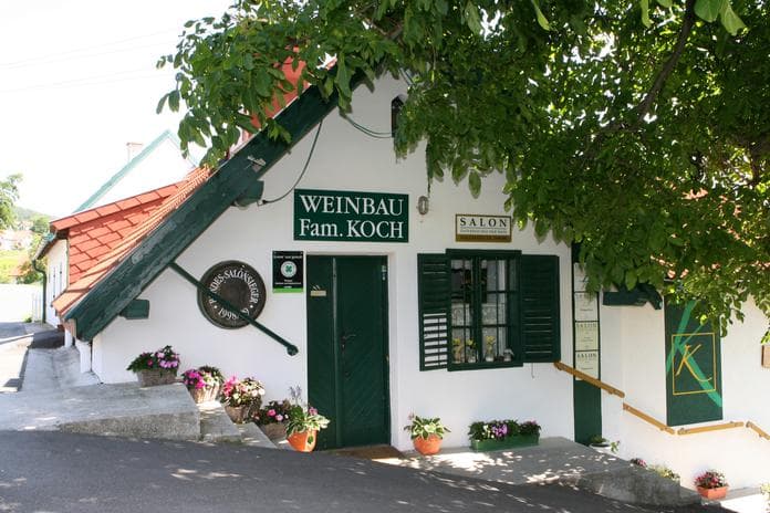 Advent im Weinberg
