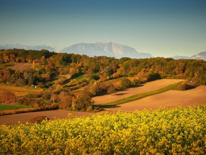 Grenzenlos erleben - Natur verbindet - Naturerlebnistage