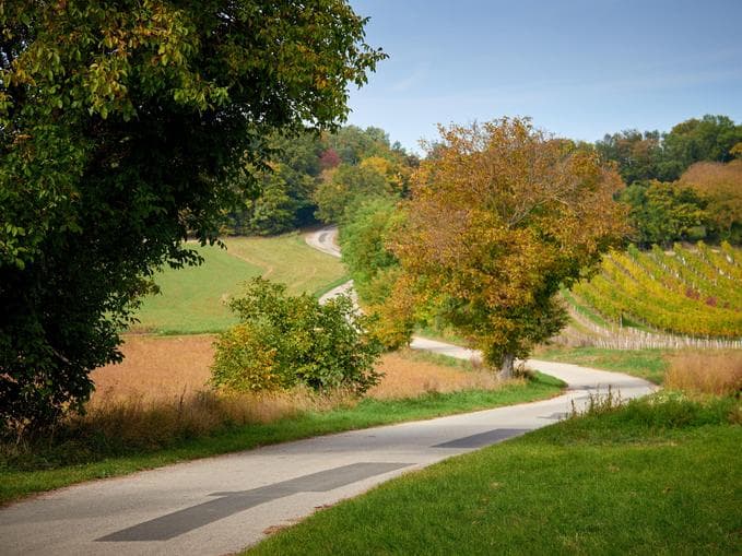 Gemeinsam unterwegs am Eulenweg - Naturerlebnistage