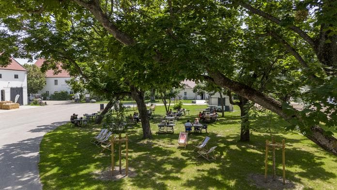 Hofmarkt und Familienfest am Bio-Landgut Esterhazy
