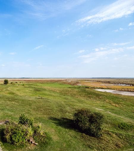 Steppe soweit das Auge reicht - Exkursion