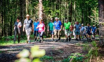 Zwischen Gehege und Wasserrad