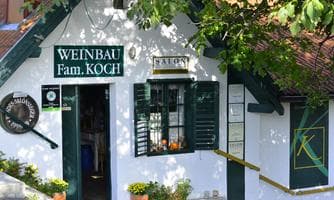 Hoffest im Weingut