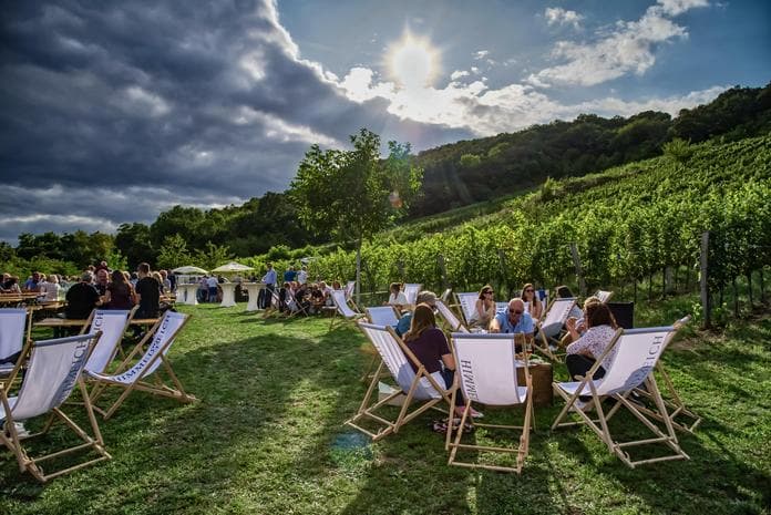 Weinpicknick im Himmelreich