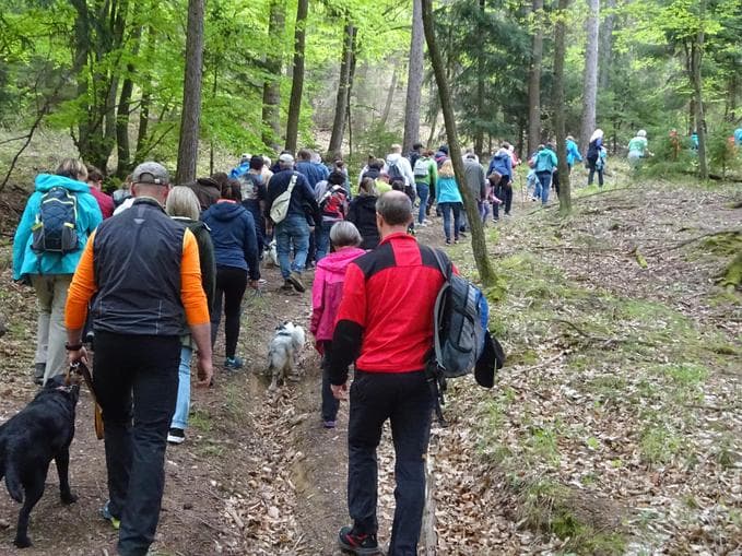 Geschriebenstein Roas