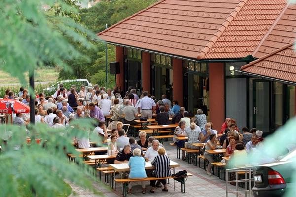 Liedernachmittag - Winzerchor Weiden