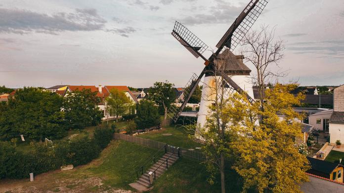 Windmill Festival