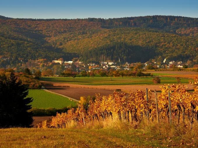 Herbst im Glas -Streuobst erleben - Naturerlebnistage