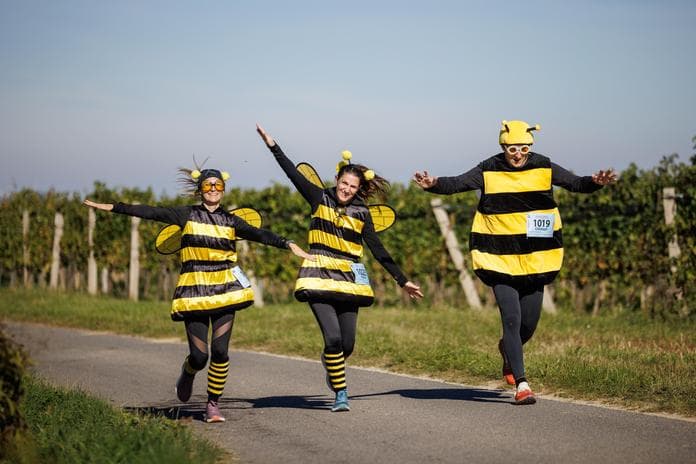 5. Blaufränkischland Marathon