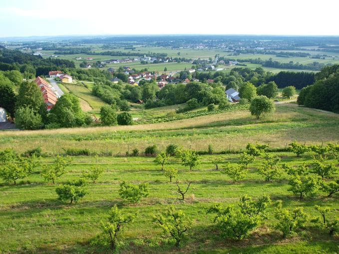 Geführte Radtour durch das Apfelreich - Naturerlebnistage