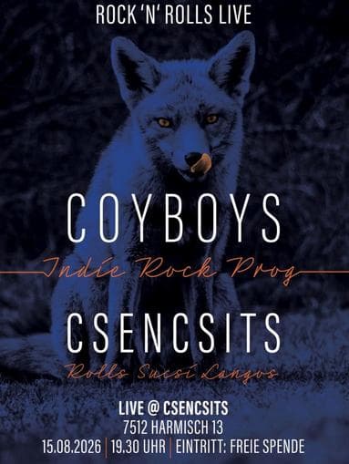 Rock´n` Rolls live beim Csencsits