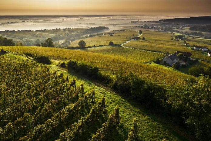Kirtag & Wein am Eisenberg