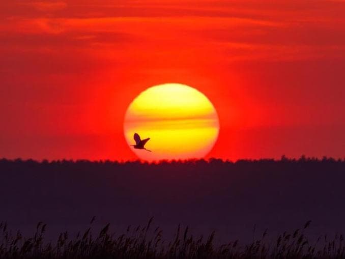 Wenn es Abend wird im Nationalpark- Exkursion