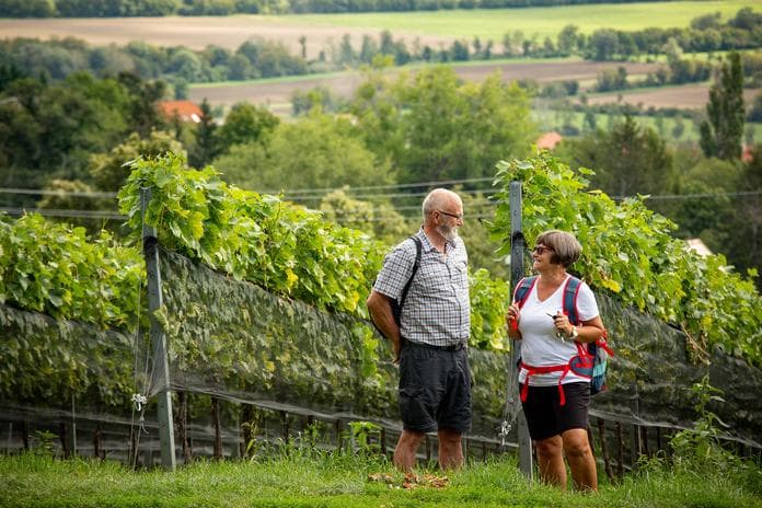 Moonlight Wine Walk