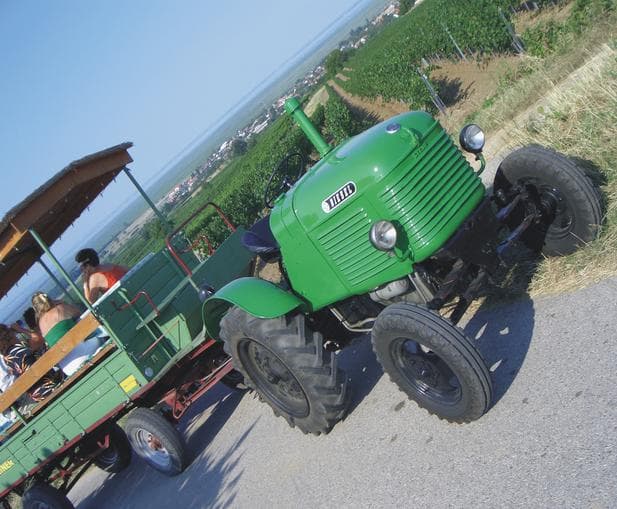Vintage Tractor Ride: Following in the Footsteps of the Wine King