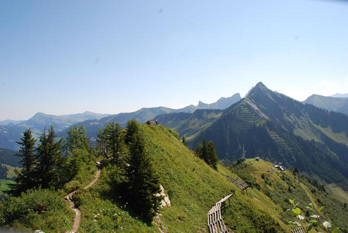 Unterwegs auf dem Blumen-Wanderlehrpfad mit Wanderführer Günter Bischof
